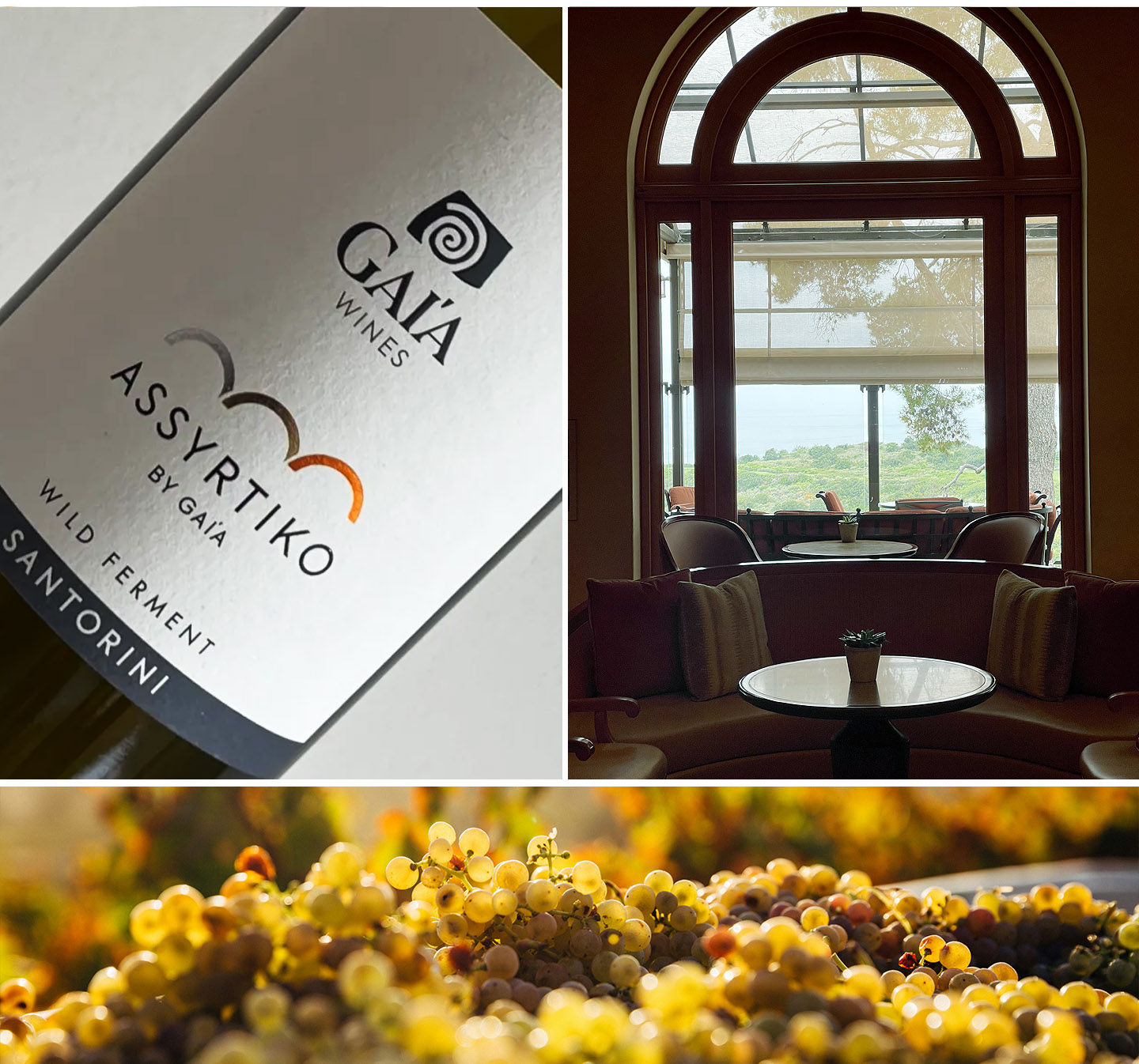 Assyrtiko, Gai’a, Greece