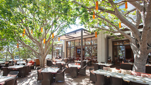 Oak Grill