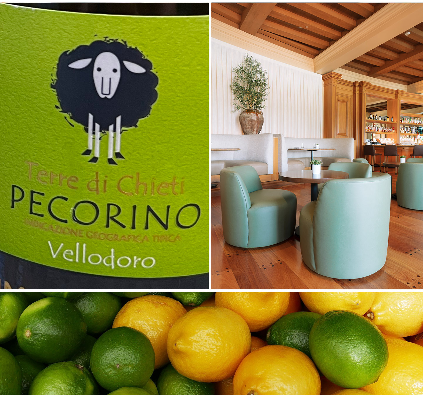 Pecorino, Umani Ronchi, Terre di Chieti, Umbria label