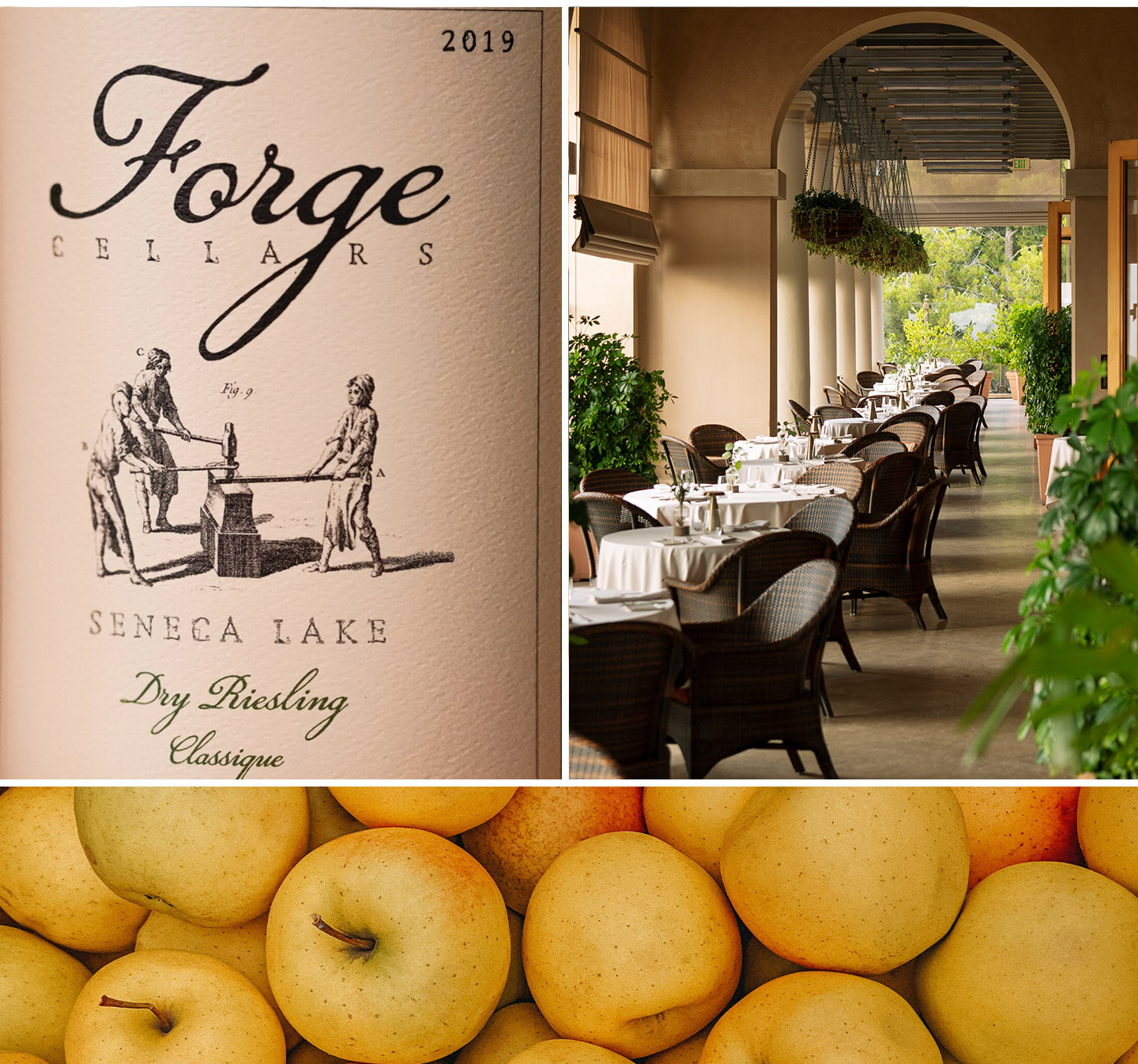 Dry Riesling, Forge Cellars, Seneca Lake, NY