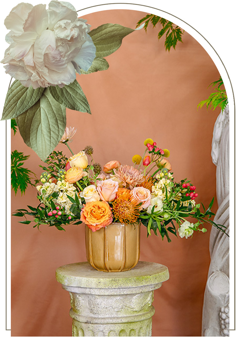 roses and rose